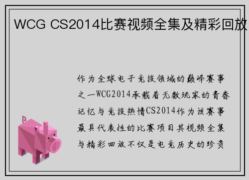 WCG CS2014比赛视频全集及精彩回放